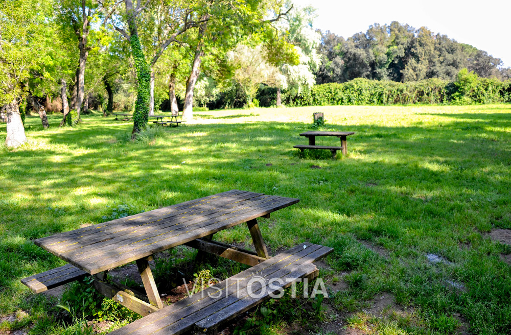 VisitOstia - pineta di Castelfusano