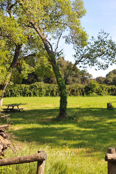 VisitOstia - pineta di Castelfusano