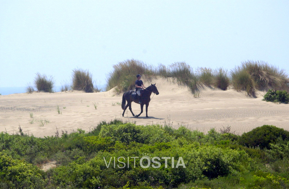 VisitOstia - Castelporziano - dune di Capocotta